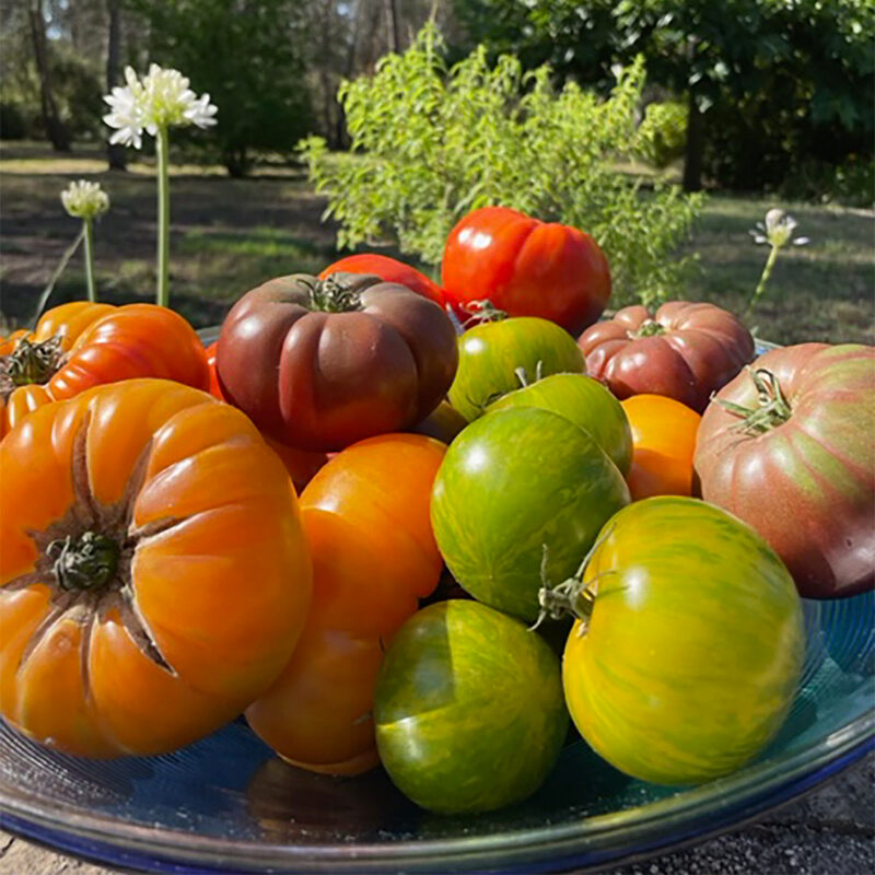 Les légumes du terroir