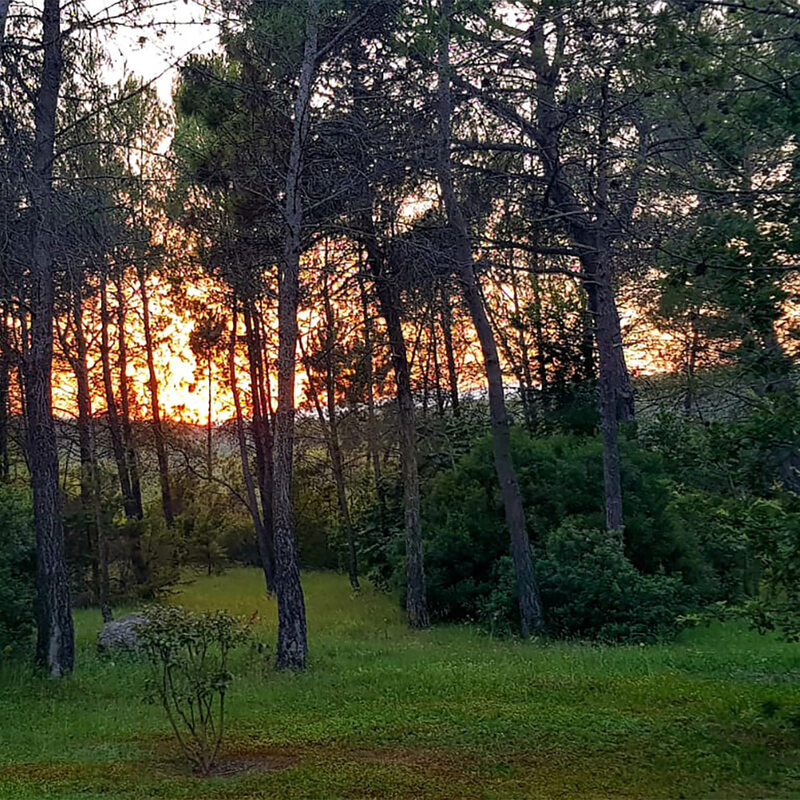 Crépuscule